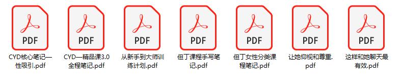 恋爱方法《但丁内部文档资料》