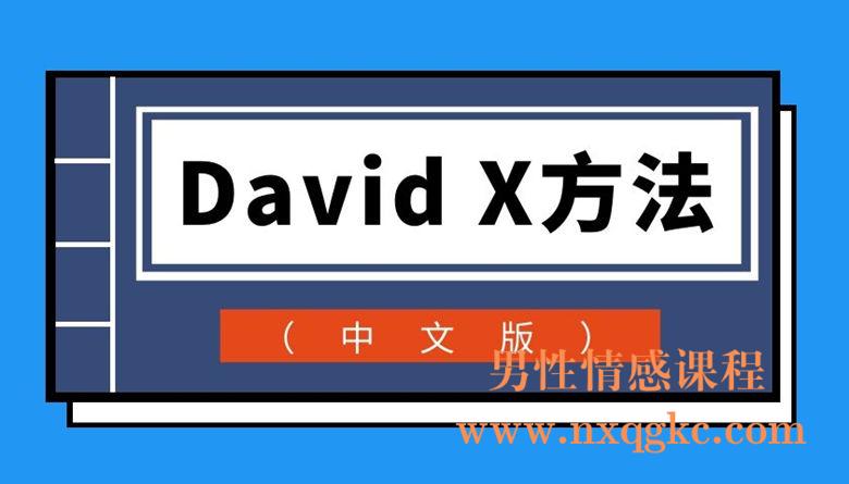 David X方法（中文版）