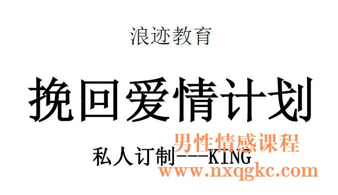 king挽回爱情计划修正版