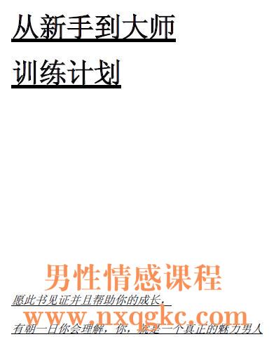 《从新手到大师训练计划》简介