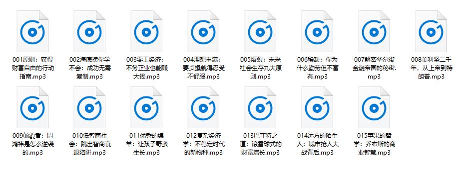 任志强商学课：用企业家的思维理解商业