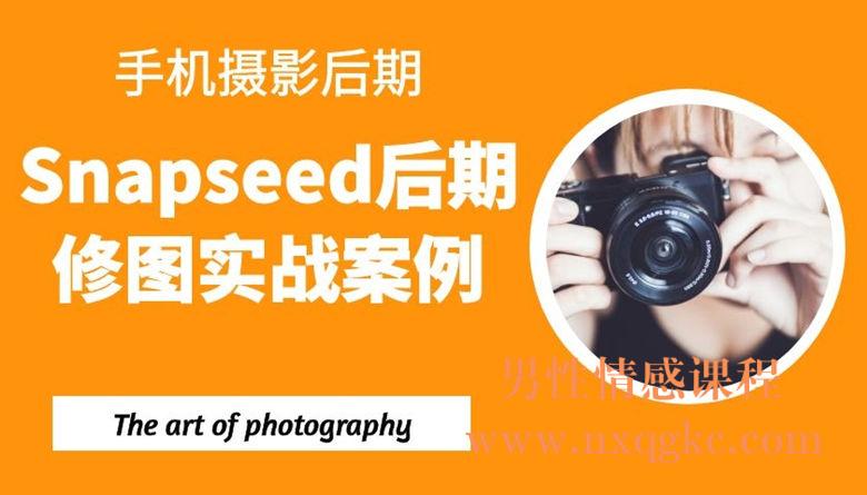 手机摄影后期：Snapseed后期修图实战案例（22课）