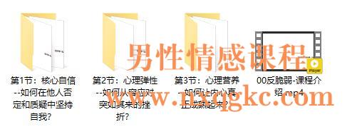 《反脆弱：塑造强大内心》课程简介
