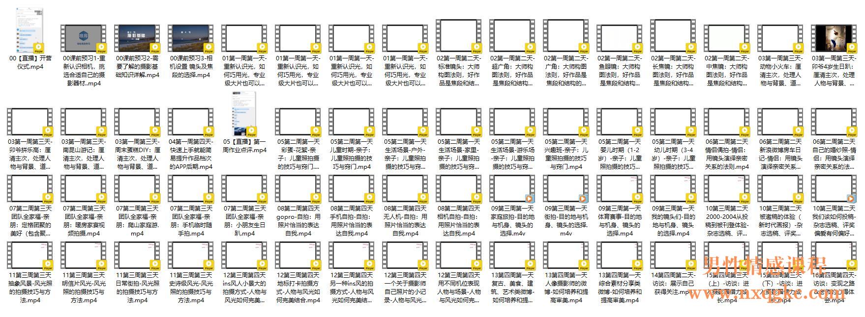 《摄影实拍训练营，30天零基础变身摄影达人》简介