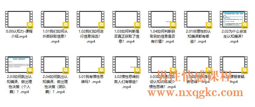 《认知力：何与别人的拉开认知差距》简介