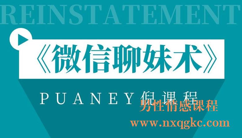 PUANEY倪《微信聊妹术》