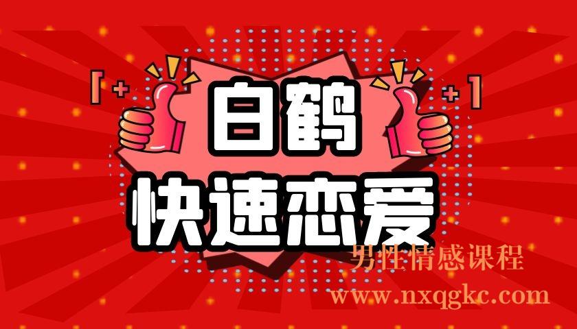 白鹤《快速恋爱》