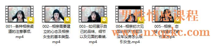 男性情感课程《爱的最后一站-相亲指南》