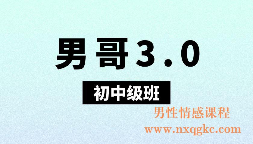 男哥3.0初中级班微信群内部课
