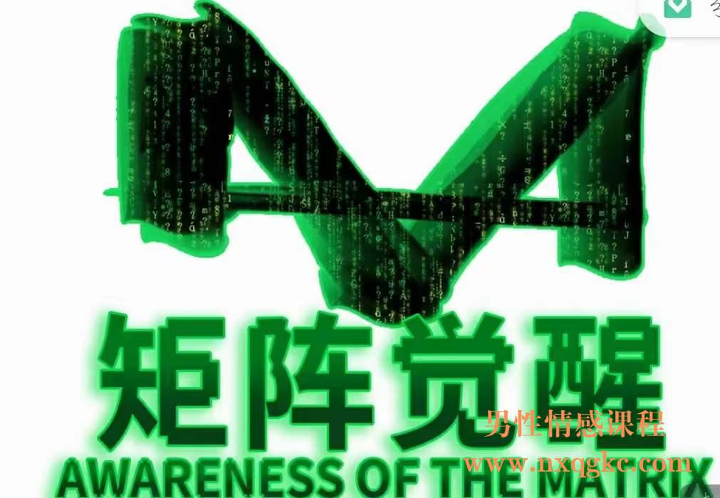 真爱之门《矩阵觉醒》（编号0503268）