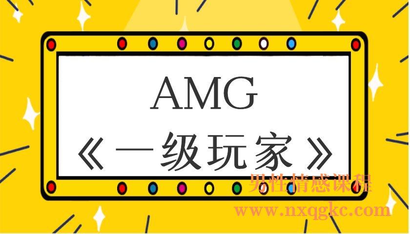 AMG《一級玩家》（编号0503283）