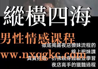 AMG《纵横四海》（编号0503290）