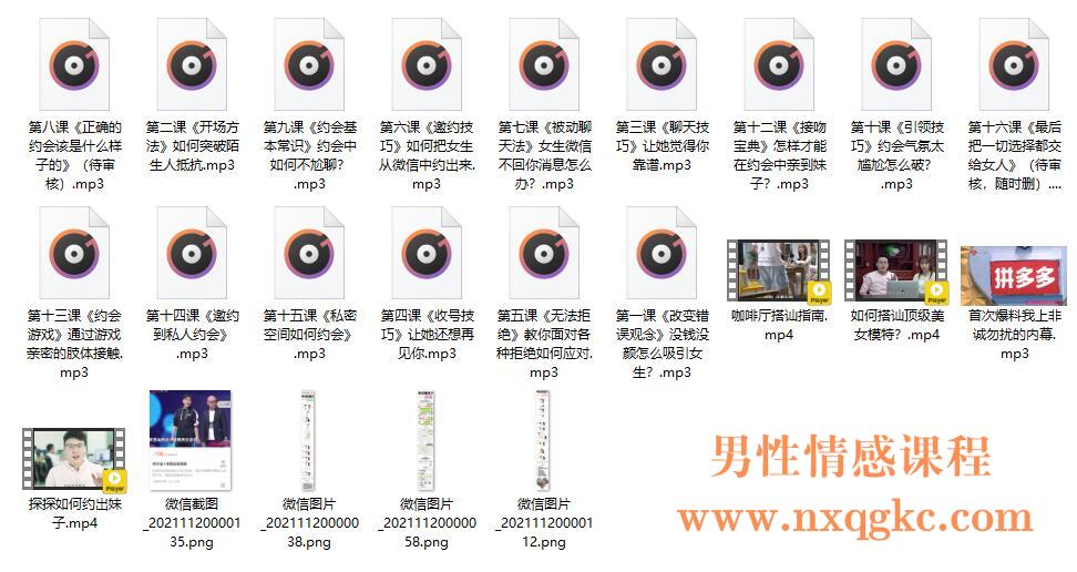 《求爱应急指南》课程简介