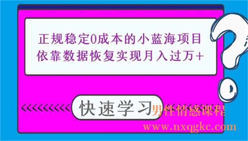 正规稳定0成本的小蓝海项目，依靠数据恢复实现月入过万+（220102027）