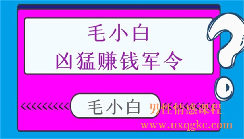 毛小白凶猛赚钱军令（220102028）