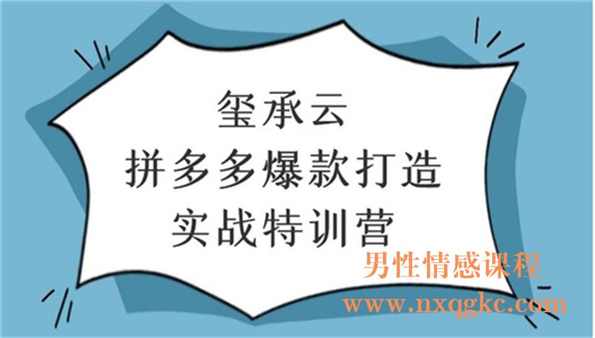 玺承云·拼多多爆款打造实战特训营（220102065）