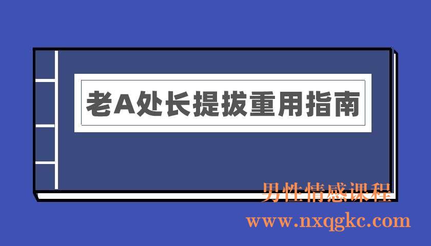 老A处长提拔重用指南【晋升手册】（电子书）（220402005）