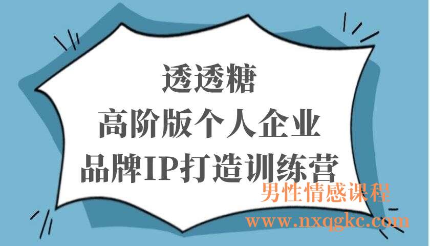 透透糖·高阶‬版个人企业品‬牌IP打造‬训练营（220103016）