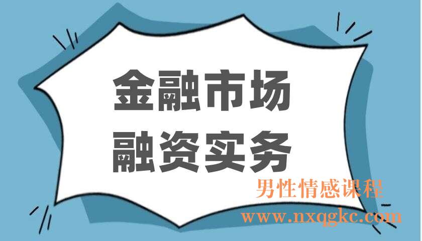 金融市场融资实务（220403061）