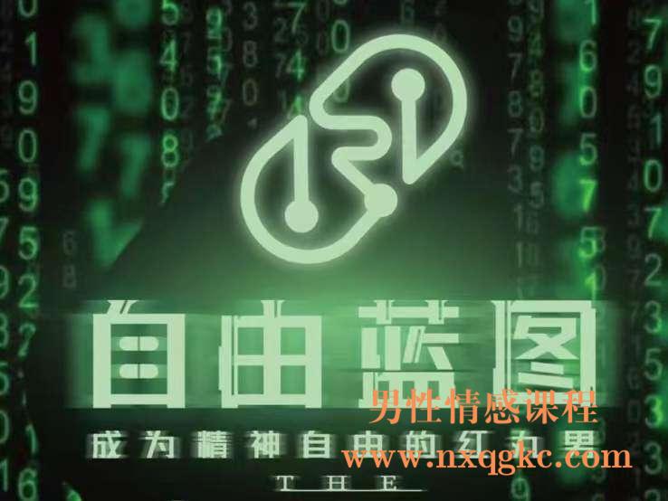 紅丸4.0《自由藍圖》（编号0503323）