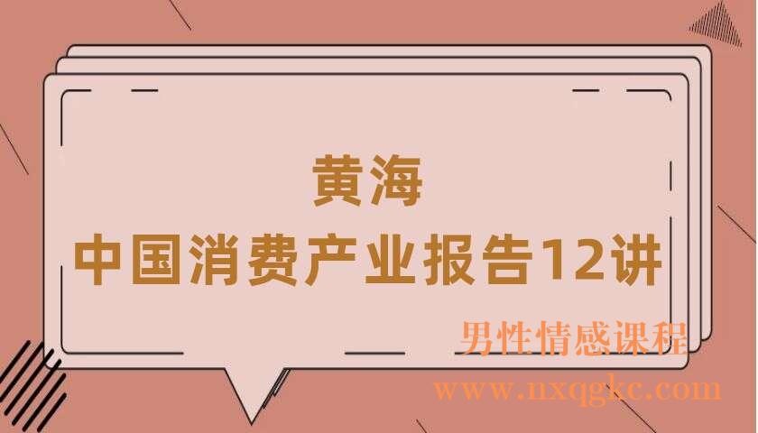 黄海·《中国消费产业报告12讲》（220406053）