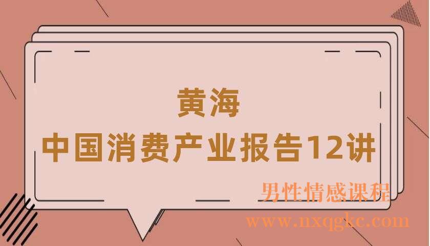 黄海·《中国消费产业报告12讲》（220406053）