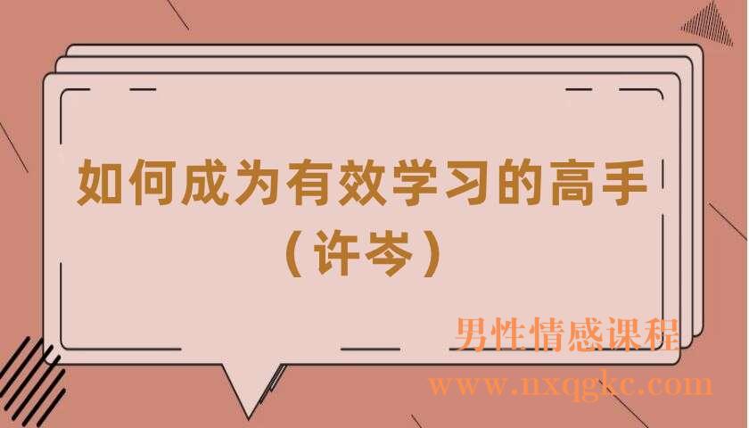 如何成为有效学习的高手（共8讲）（许岑）（220406095）