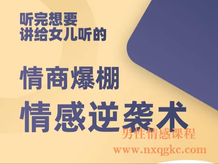 高情感逆袭术（编号0503348）