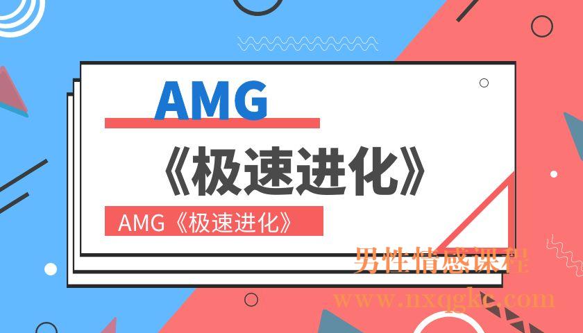 AMG《极速进化》（编号0503375）