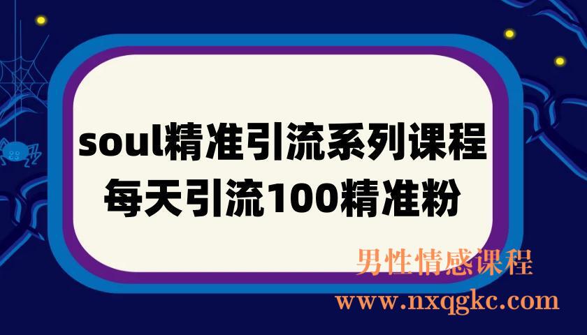 soul精准引流系列课程，每天引流100精准粉(220901054)