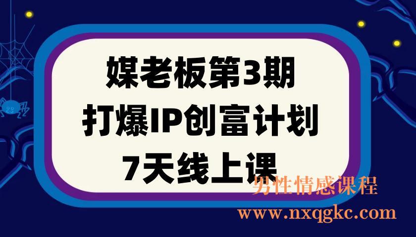 媒老板第3期·打爆IP创富计划7天线上课(220901027)