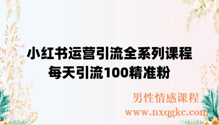 小红书运营引流全系列课程，每天引流100精准粉（220902084）