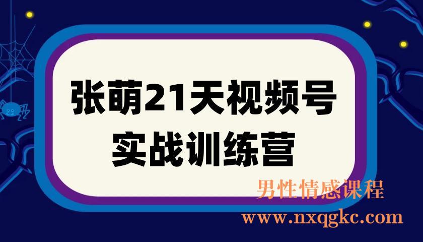 张萌21天视频号实战训练营，裂变涨粉、内容创作、视频号变现 价值298元(220901042)