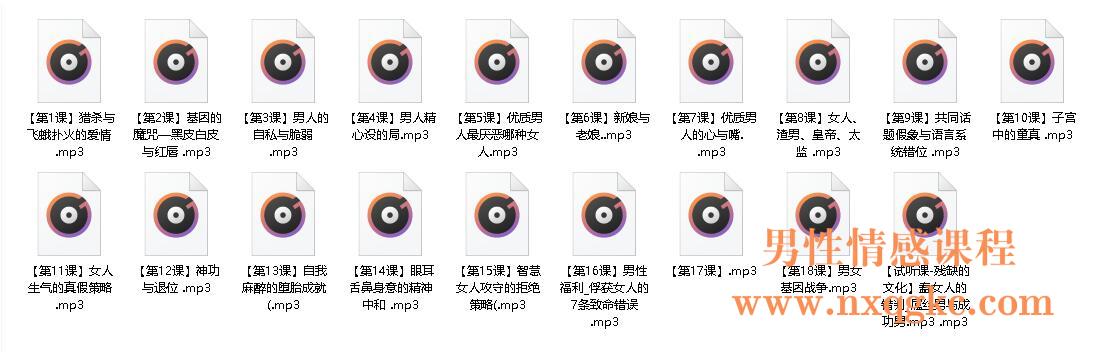 《甄琦学长-成功男人的情感刚需》课程简介