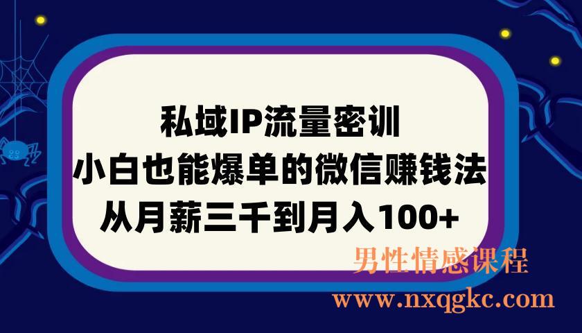 私域IP流量密训：小白也能爆单的微信赚钱法，从月薪三千到月入100+(220901035)