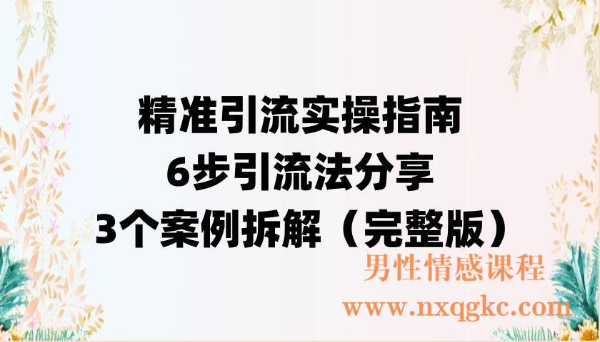 精准引流实操指南，6步引流法分享，3个案例拆解（完整版）无水印（220902040）