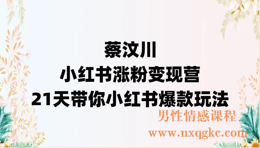 蔡汶川·小红书涨粉变现营，21天带你小红书爆款玩法（220902017）