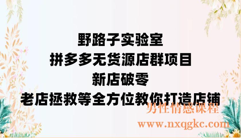 野路子实验室，拼多多无货源店群项目，新店破零，老店拯救等全方位教你打造店铺（220902093）