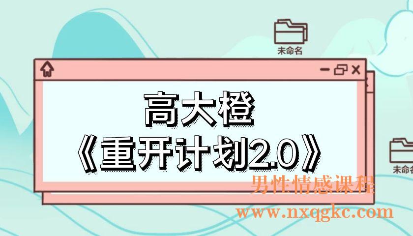 高大橙《重开计划2.0》（编号0503379）