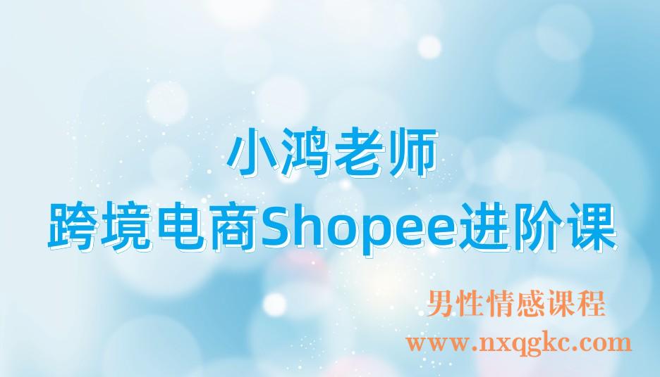 小鸿老师跨境电商Shopee进阶课(221017124)