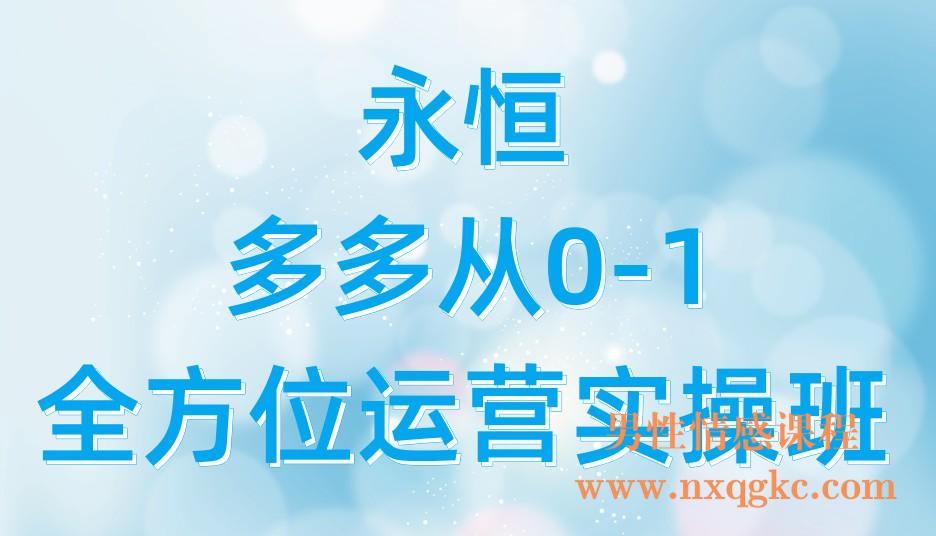 永恒：多多从0-1全方位运营实操班(221017132)