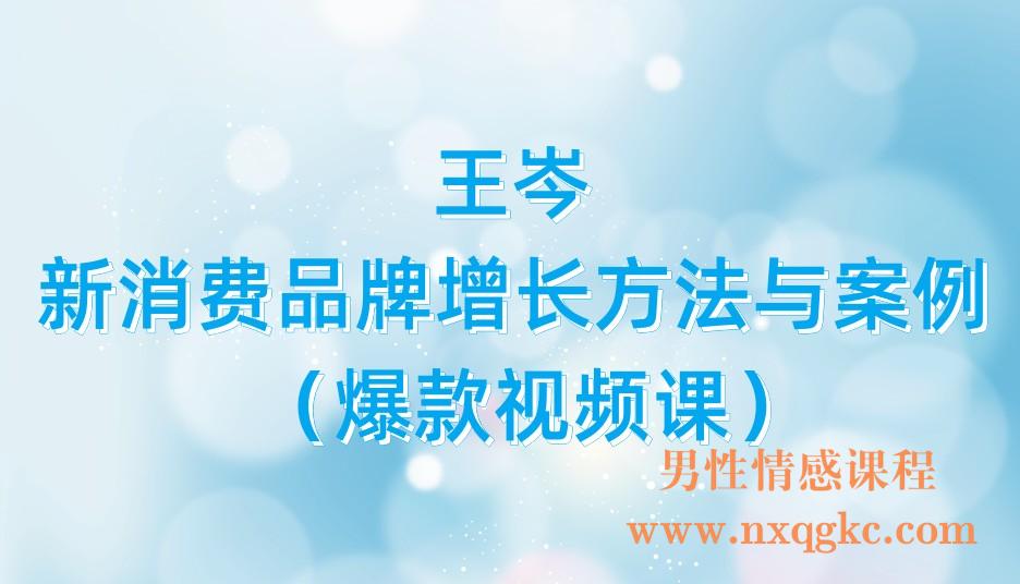 王岑：新消费品牌增长方法与案例（爆款视频课）_王岑3.0(221017111)