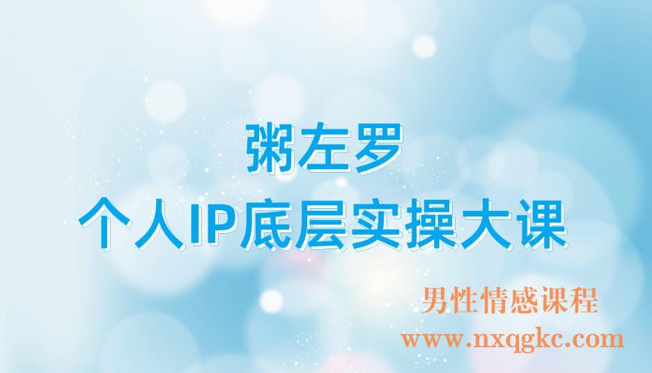 粥左罗个人IP底层实操大课(221017145)