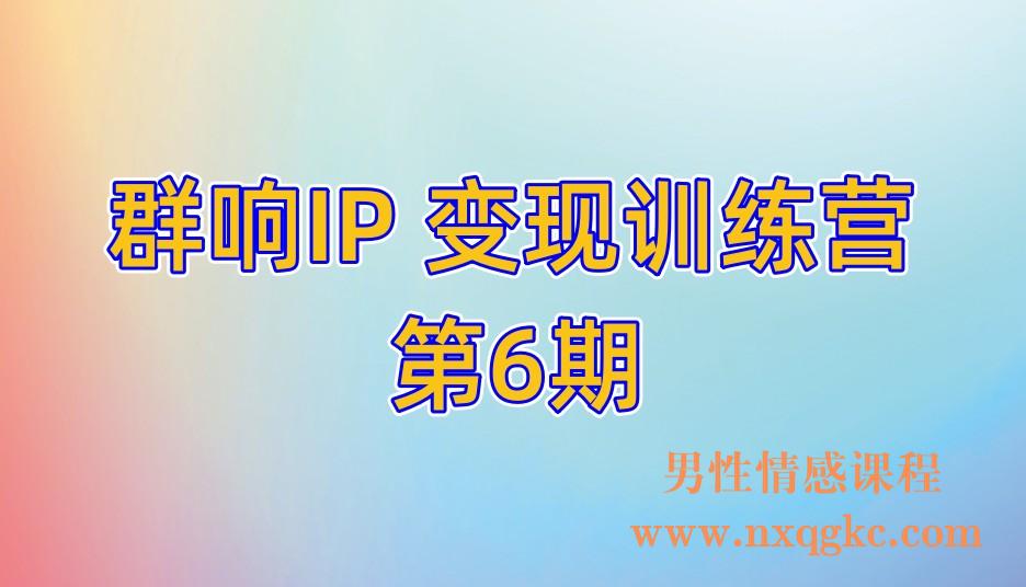 群响IP 变现训练营「06期」(221017088)