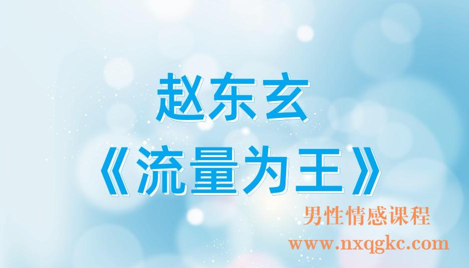 赵东玄《流量为王》(221017139)