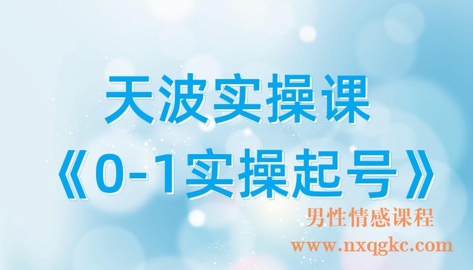 天波实操课《0-1实操起号》(221017105)