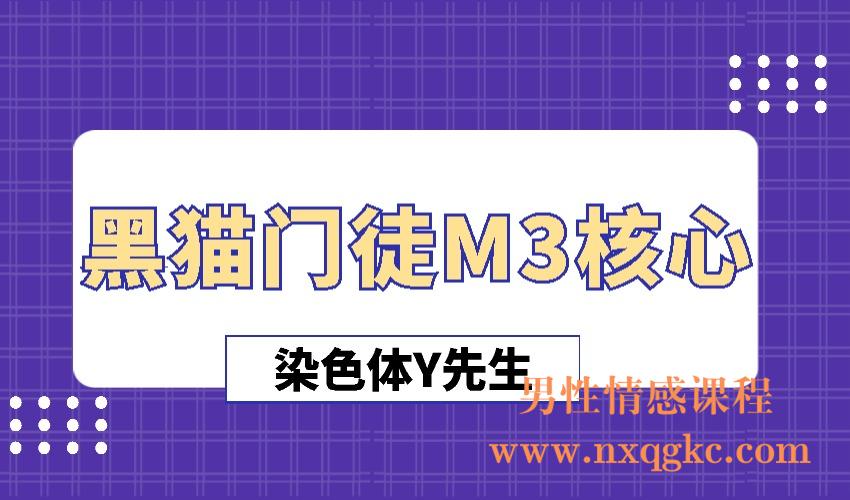 染色体Y先生《黑猫门徒M3核心》（编号0503414）
