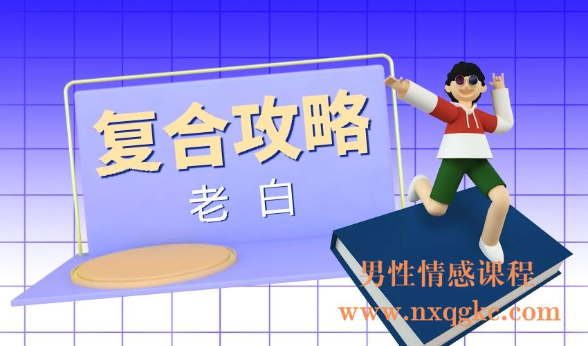 老白《复合攻略》(编号0503408)