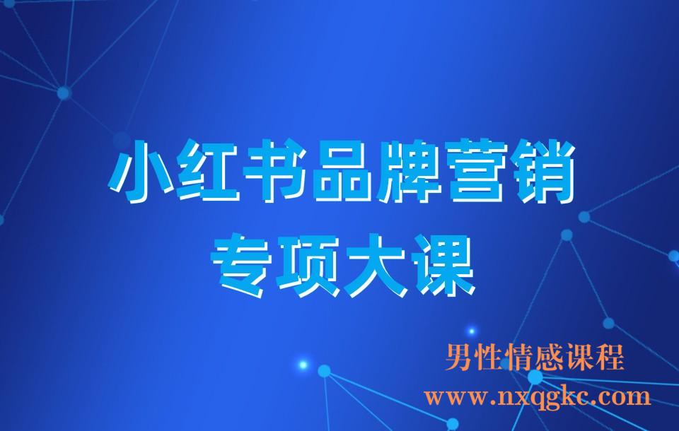 小红书品牌营销专项大课(23030441)