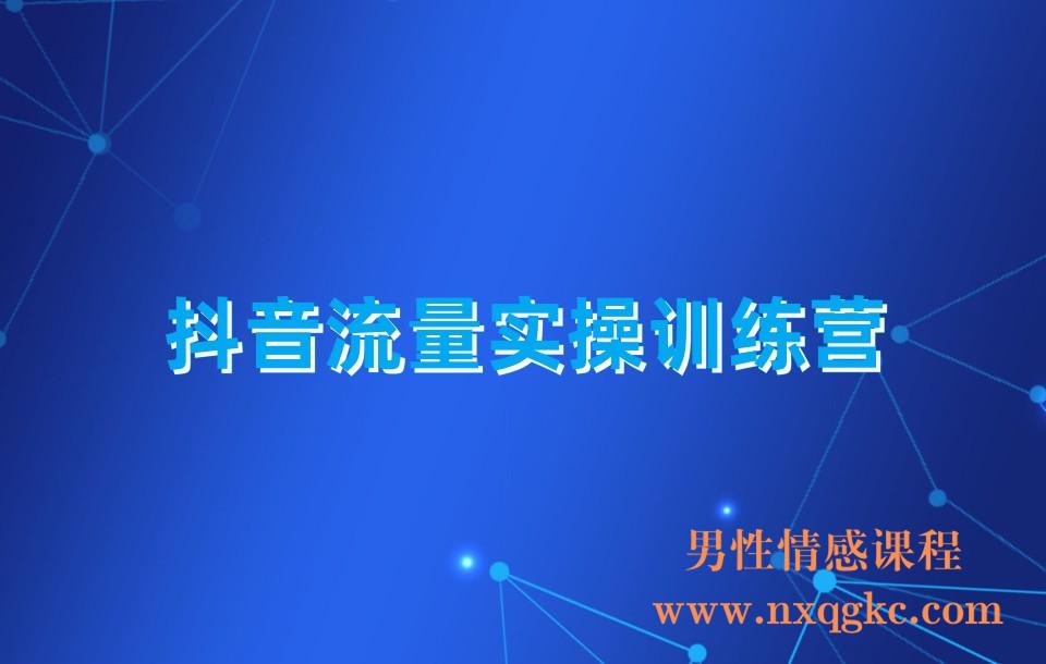 抖音流量实操训练营(230310035)
